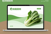 和田卖菜网站设计