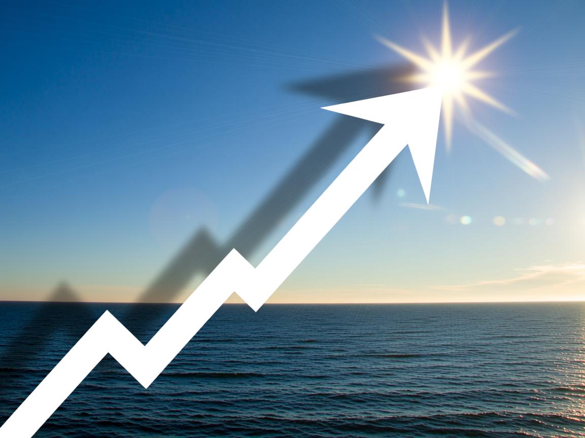 东至网站建设 - 网站建设的基本流程是什么? 普通人也能看懂的操作指南 - 鱼米玖-上海锐衡凯网络科技有限公司